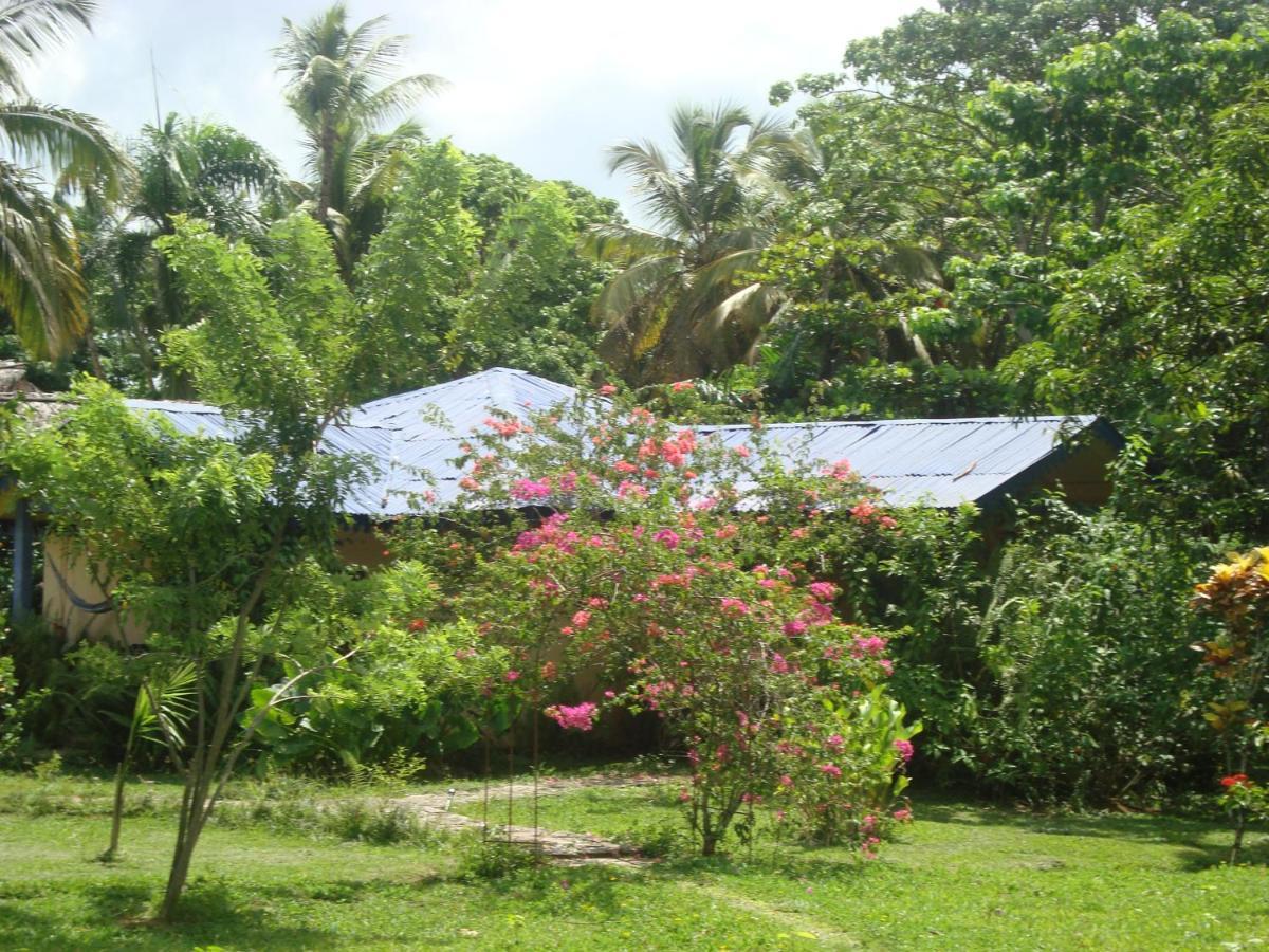 Fata Morgana Eco Hotel Las Terrenas Kültér fotó