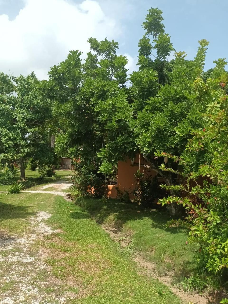 Fata Morgana Eco Hotel Las Terrenas Kültér fotó
