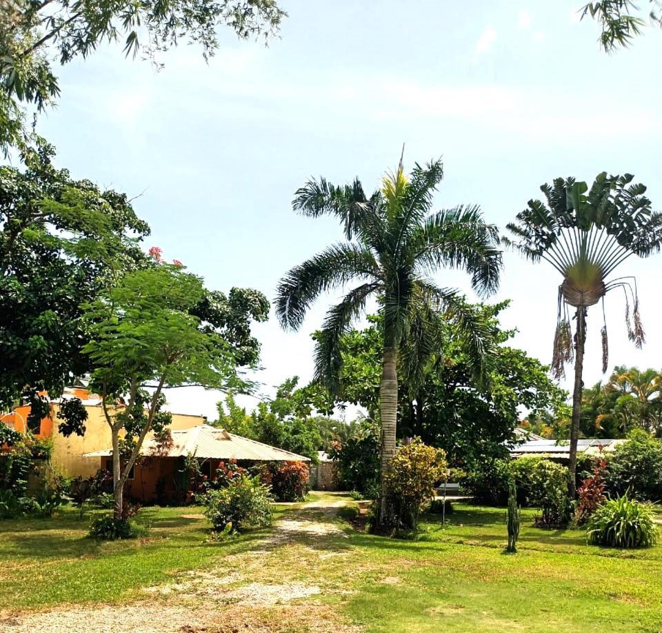 Fata Morgana Eco Hotel Las Terrenas Kültér fotó
