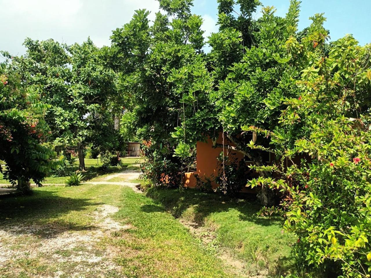 Fata Morgana Eco Hotel Las Terrenas Kültér fotó