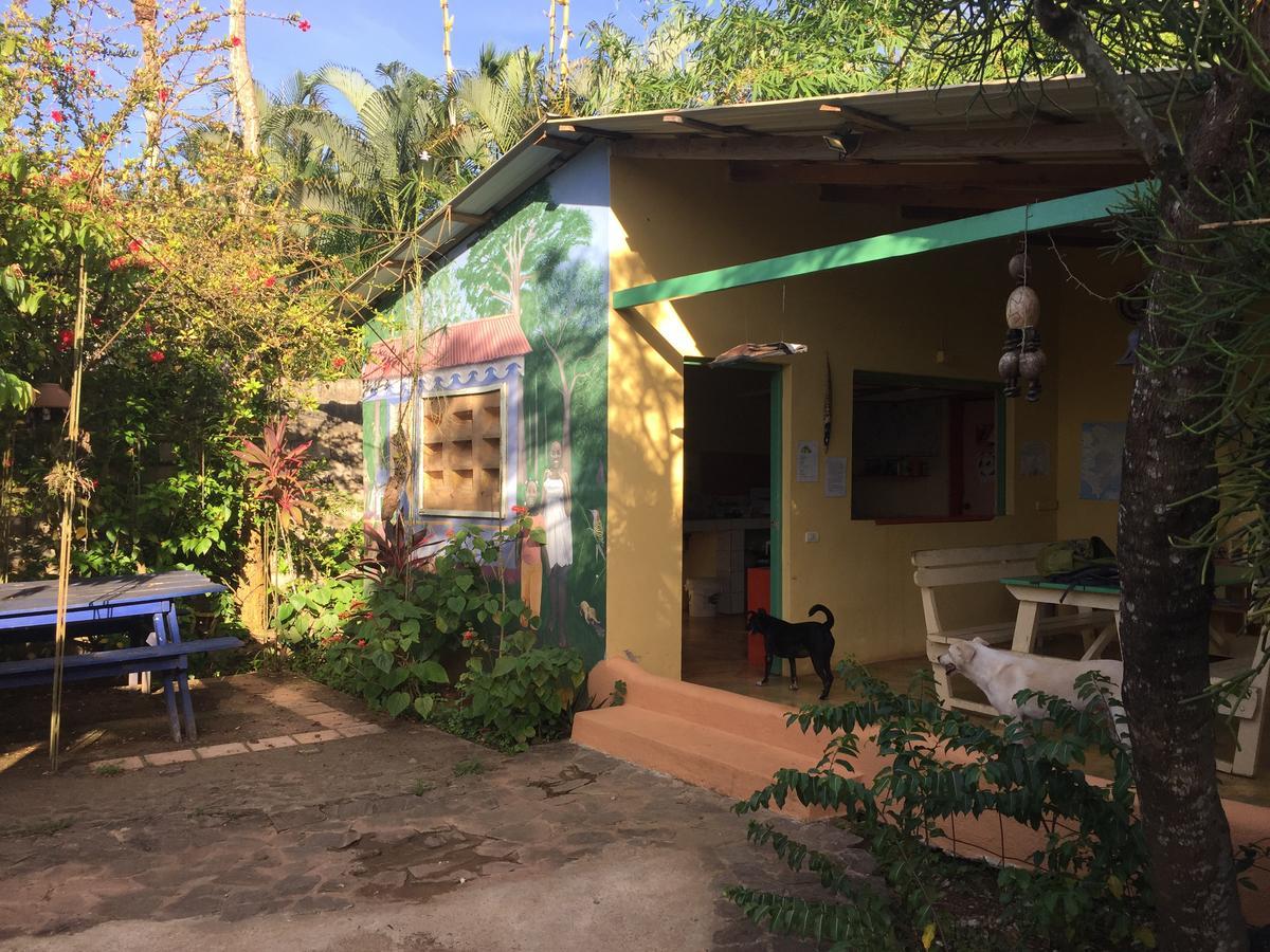 Fata Morgana Eco Hotel Las Terrenas Kültér fotó